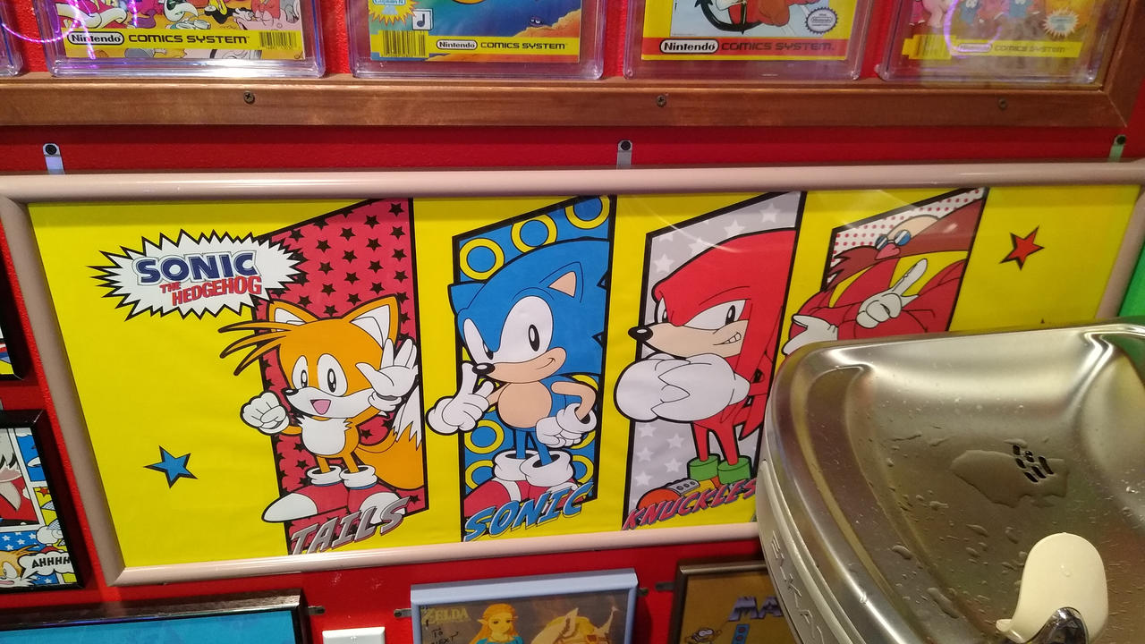 Bathroom 1 Sonic the Hedgehog next to Water Fountain